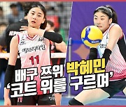 박혜민,'코트 위를 구르는 배구 쯔위'[O! SPORTS]