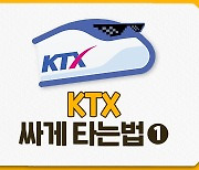 [계이득]6만원에 KTX타고 서울-부산 왕복한다고?