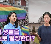 [투톺뉴스] 법적 성별을 스스로 결정한다?