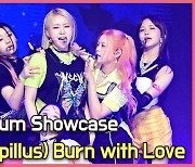 라필루스(Lapillus),'더블타이틀 Burn With Love 무대' [O! STAR]