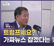 '가짜뉴스'를 정부가 정하면 어떻게 될까?[권영철의 Why뉴스]