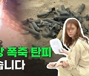 [포켓이슈] 합법인듯 불법인 불꽃놀이…해수욕장은 '탄피밭'