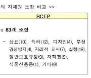 아세안 등 15개국서 우리 지재권 보호 강화.."한류편승 기업 영업활동 제한" 기대