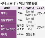 냉동 보관 필요없는 코로나 백신 개발 활발