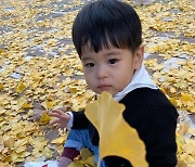 장신영♥강경준 아들 정우, 귀여운 낙엽 장난.."가을을 즐기는 베이비" [Oh!마이 Baby]