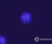 인제군, 코로나19 잇단 확진에 마을주민 5천명 검사