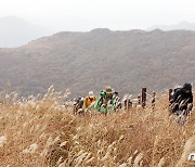 수도권 등 1.5단계 격상..북한산·무등산 생태탐방원 인원 50% 제한