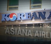 "특정 재벌 봐주기"..여당서도 대한항공 아시아나 인수 추진 비판