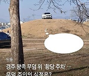 [띵플] 경주 왕족 무덤 위 '황당 주차'.. 무덤 주인의 심정은?