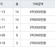 부산 명지동 명지롯데캐슬 101㎡ 4억3000만원.. 역대 최고가