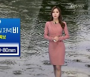 [날씨] 부산 내일 새벽부터 저녁까지 30~80mm 비..바람 거세져 '강풍 주의'