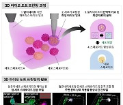 UNIST, 원하는 위치에 세포 찍어내는 3D 프린팅 기술 개발