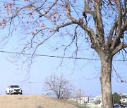 신라 고분 위에 SUV 주차한 20대 신원 확인..경찰 고발(종합)