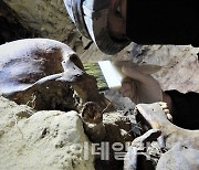 올해 DMZ 유해발굴 종료..유해 143구·유품 1.7만점 발굴