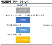 특혜논란? 산업구조 재편?..대한항공·아시아나 신용도 영향은