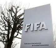 여성축구선수도 출산휴가, 연봉보장 받는다. FIFA 개혁안 발표