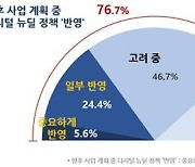 "국내 기업 70%, 디지털 뉴딜 내년 사업 계획에 반영 고려"