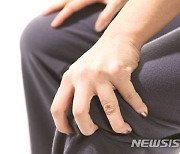 ['제대로' 운동법]무릎 통증 줄여주는 스트레칭과 근력운동