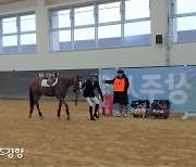 한국마사회, 제7회 경주퇴역 승용마 안정성 및 능력평가 품평회 시행