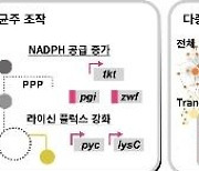 KAIST 이상엽 교수 "미생물로 폴리에스터 등 원료 생산"