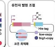 KAIST 이상엽 교수 "미생물로 폴리에스터 등 원료 생산"