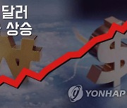 [외환] 원/달러 환율 11.8원 오른 1,115.6원(마감)