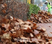 [포토]'낙엽 청소하기'