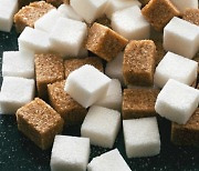 영양학자가 말하는 설탕을 줄이기 위해 알아야 할 5