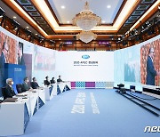 2020 APEC 정상회의, 화상으로 개최