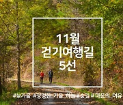 11월 걷기여행길 5선, '늦가을의 정취 느끼며 걷는 길'