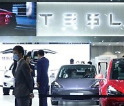 LG화학, 중국서 테슬라 SUV '모델Y' 배터리 물량 수주