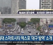 세계 최대 스마트시티 엑스포 '대구 방역' 소개