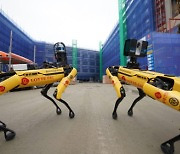 Lotte deploys patrol robot to keep watch on safety in construction site