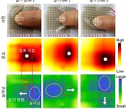 인간처럼 온도·촉감 느끼는 '전자피부' 나왔다!