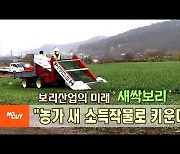 [영상]보리산업의 미래 '새싹보리',"농가 새 소득작물로 키운다"