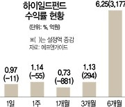 공모주 우선배정 축소 하이일드펀드, 내년까진 '맑음'