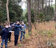 초당림 백합나무 조림 성공지 방문한 최병암 차장