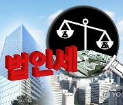 "한국, 법인세율은 낮추고 소득세 누진성은 강화해야"(종합)