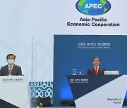 APEC 정상회의 "코로나 백신, 공평한 접근 노력"