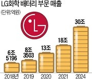 [단독] LG화학, 中서 테슬라 배터리 '싹쓸이'