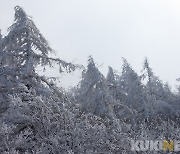 상고대가 만든 아름다운 겨울 풍경