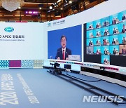 APEC 선언문에 포함된 文 '패스트트랙' 제안..K-자유무역