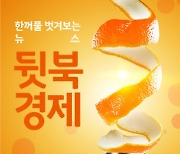 [뒷북경제] '가덕도 태풍'에 국토부, 풀보다 먼저 누울까