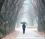 [오늘의 날씨]대전·충남(22일, 일).. 흐리고 5mm 내외 비