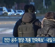 천안·공주·청양·계룡 '한파특보'..내일 아침 영하권