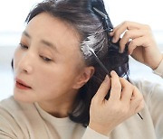 [문지숙 교수의 헬시에이징] '노화의 신호탄' 흰머리, 다시 검게 할 수 있다?
