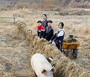 [소년중앙] "돼지에게 희망을" 축산공장 탈출한 새벽이가 전하는 돼지 같은 삶 이야기