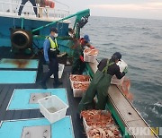 동해해경청, 대게류 불법 어업 행위 특별 단속