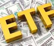 레버리지 ETF 사려면 연말까지 금융투자교육원 교육 이수해야