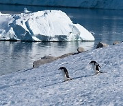 남극 '빙하 실종' 온난화 때문?..30%는 눈이 덜 와서